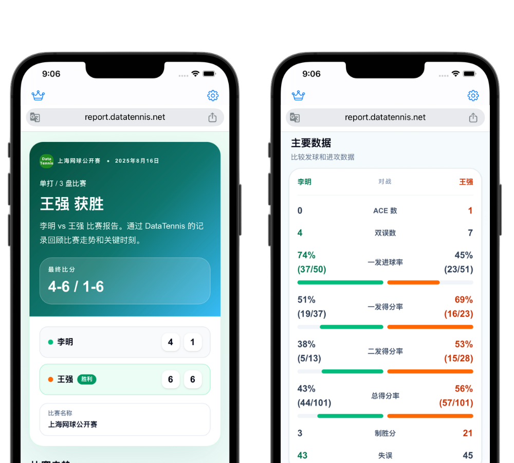网页报告分享界面